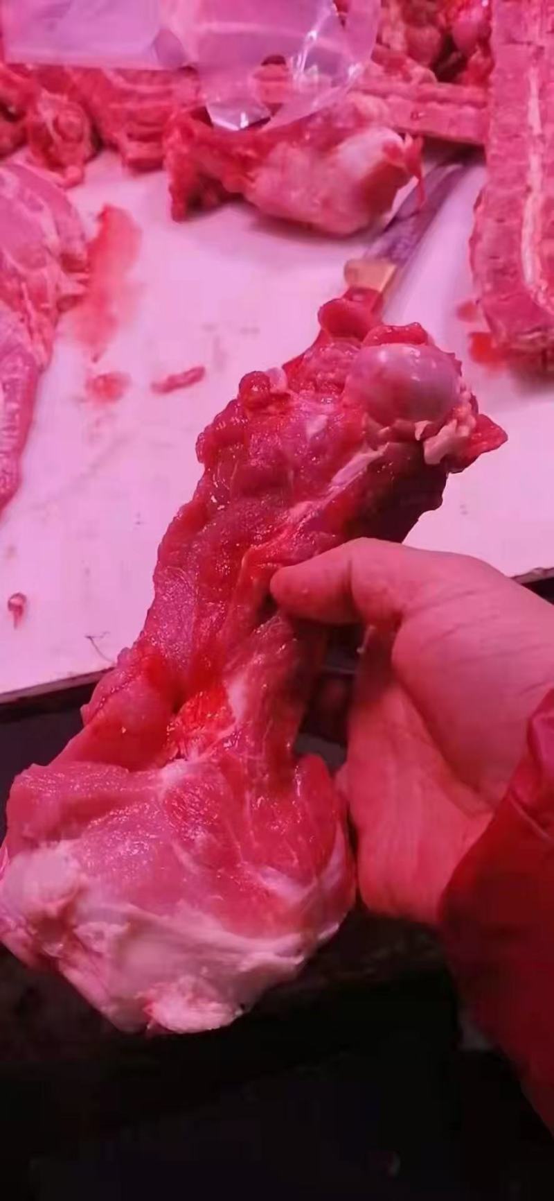 骨棒，前骨棒，后骨棒，大骨棒。多肉，肉骨棒