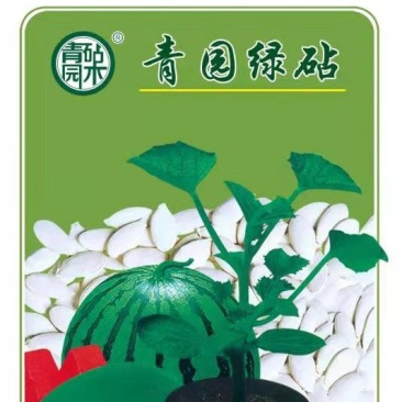 嫁接西瓜砧木种子厂家一手货源对接大型批发欢迎来电咨询