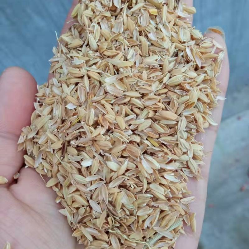 出售稻壳，过风过筛适合养殖，加工，酿酒等