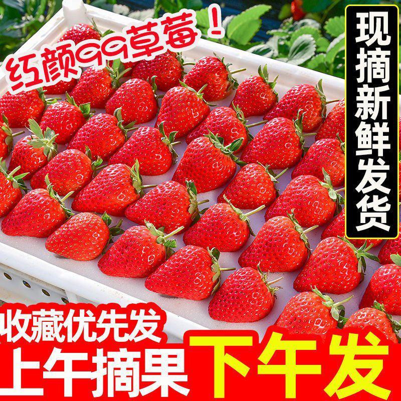 【包邮包赔】红颜牛奶9⃣9⃣草莓新鲜奶油孕妇甜水果