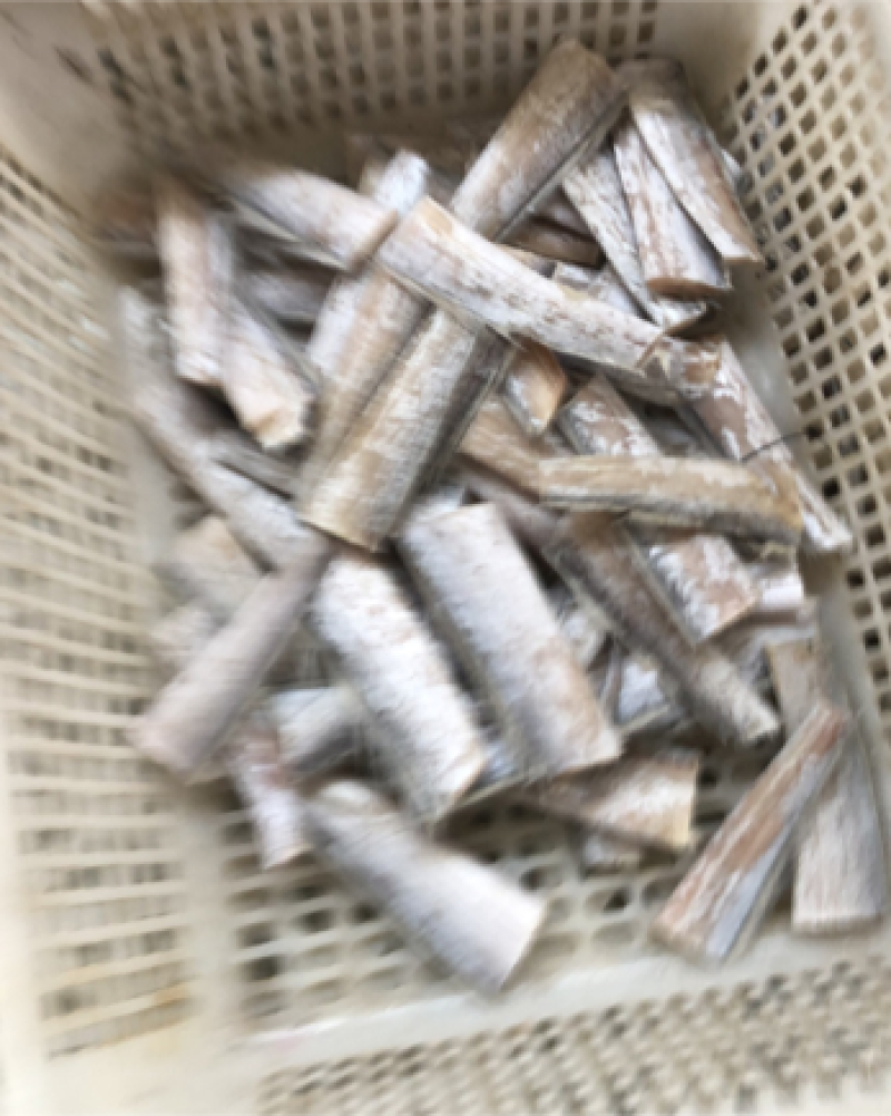带鱼尾段，黄海小眼带鱼尾段。量大从优。
