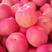 新鲜红富士苹果美八新鲜苹果大量上市地头采摘一手货源