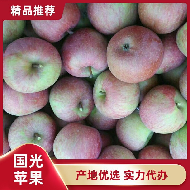 绥中国光苹果主产区，优质货源，诚信代收实力代办