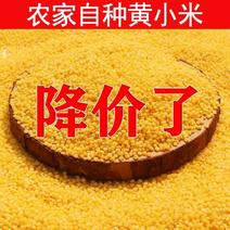 米脂黄小米新米5斤农家自产小米陕北养胃小黄米杂粮粥米包邮