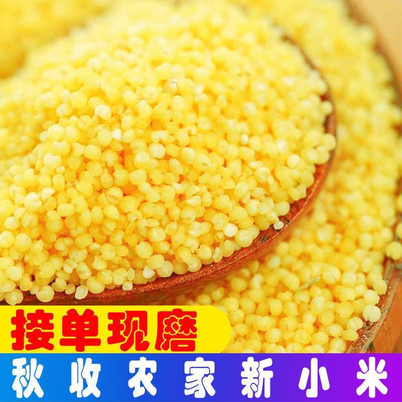 米脂黄小米新米5斤农家自产小米陕北养胃小黄米杂粮粥米包邮