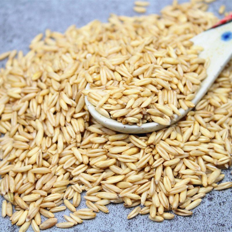 【产地】新货燕麦米农家自种燕麦五谷杂粮粗粮多规格包邮