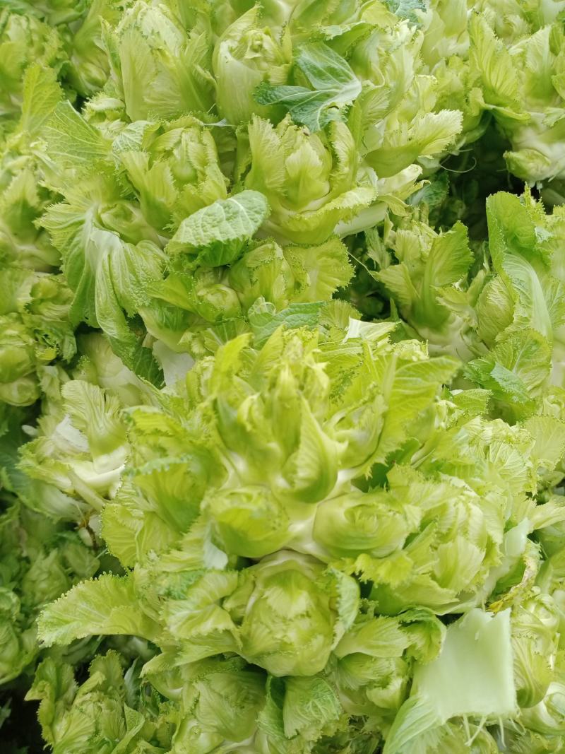 质量保证，