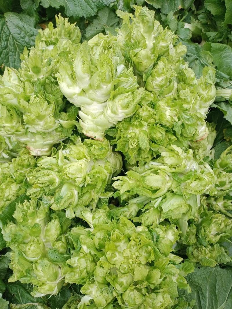 质量保证，