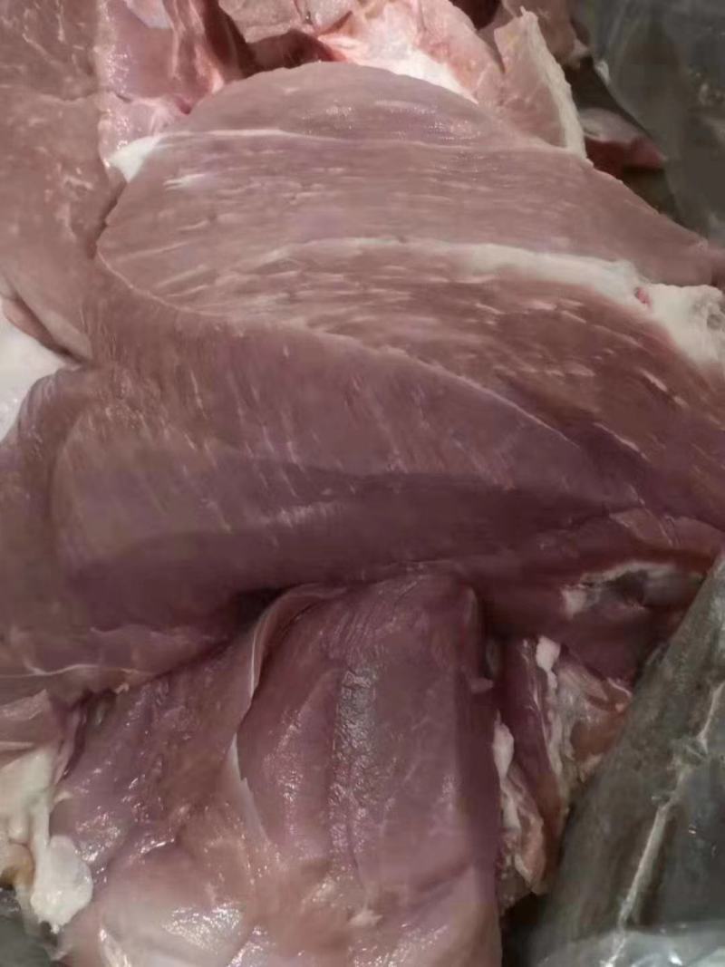 精品国产1号肉肉，2号肉，3号，肉4号，天天生产