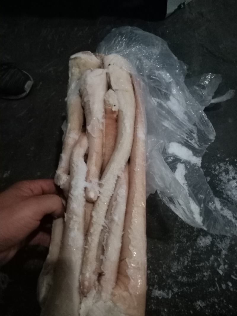 国产肥猪长尾，纯干货，大量有货…尾根小质量一级，中长混