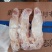 国产肥猪标准新鲜的猪口条！大量有货！30个左右