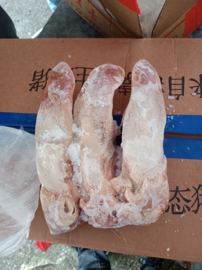国产肥猪标准新鲜的猪口条！大量有货！30个左右