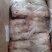 国产肥猪标准新鲜的猪口条！大量有货！30个左右