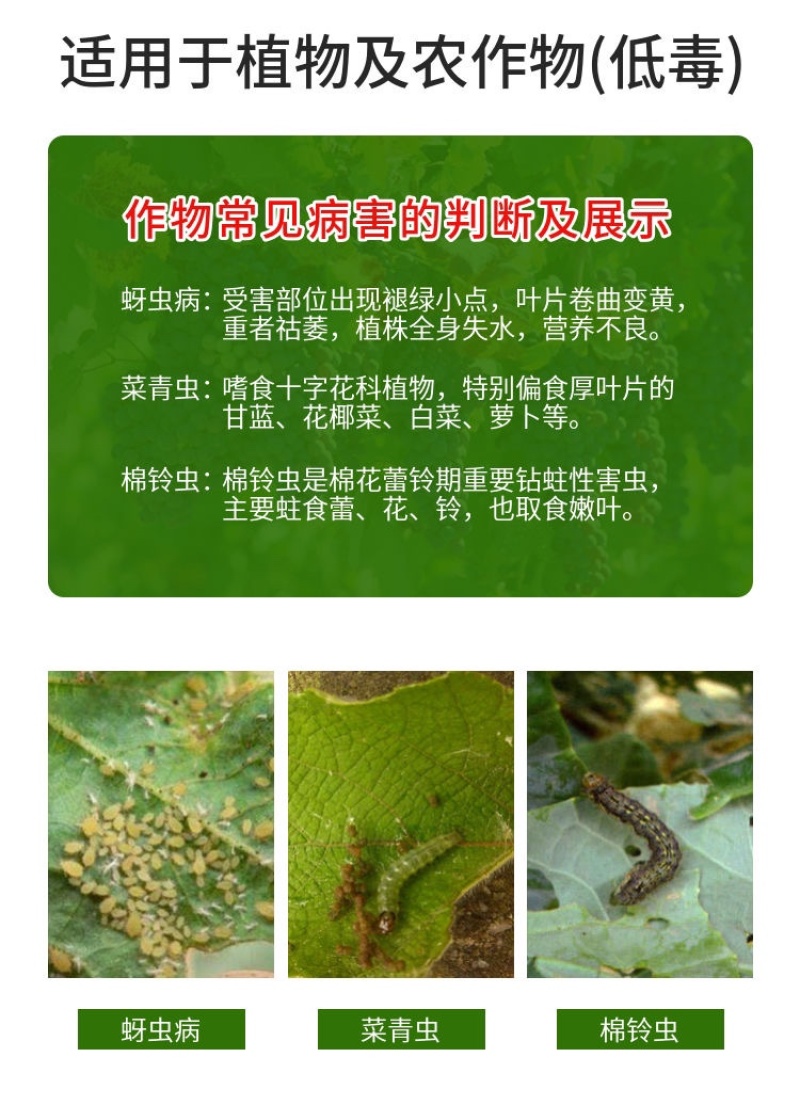 功夫2.5%高效氯氟氰菊酯菜青虫小菜蛾茶小绿叶蝉杀虫剂