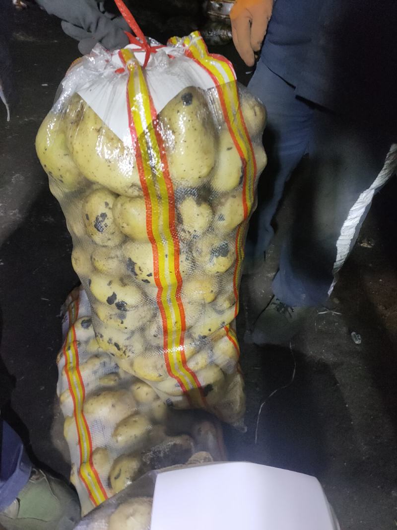 EV黄金薯，皮毛亮，黄心土豆，新佳二号……一手货源