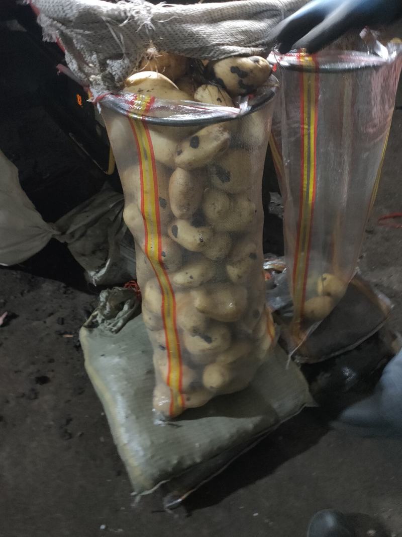EV黄金薯，皮毛亮，黄心土豆，新佳二号……一手货源
