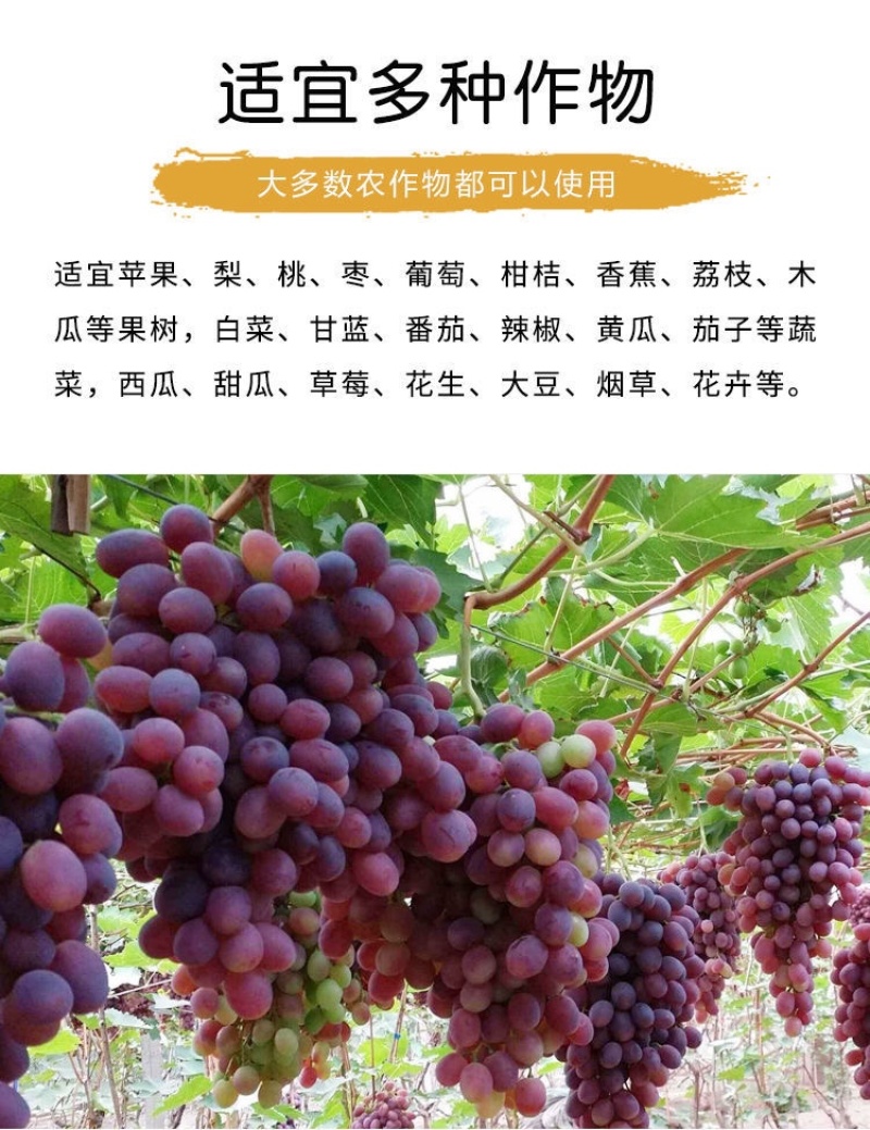 速利流体钙进口蔬菜瓜果果树高效补钙叶面肥防治脐腐病