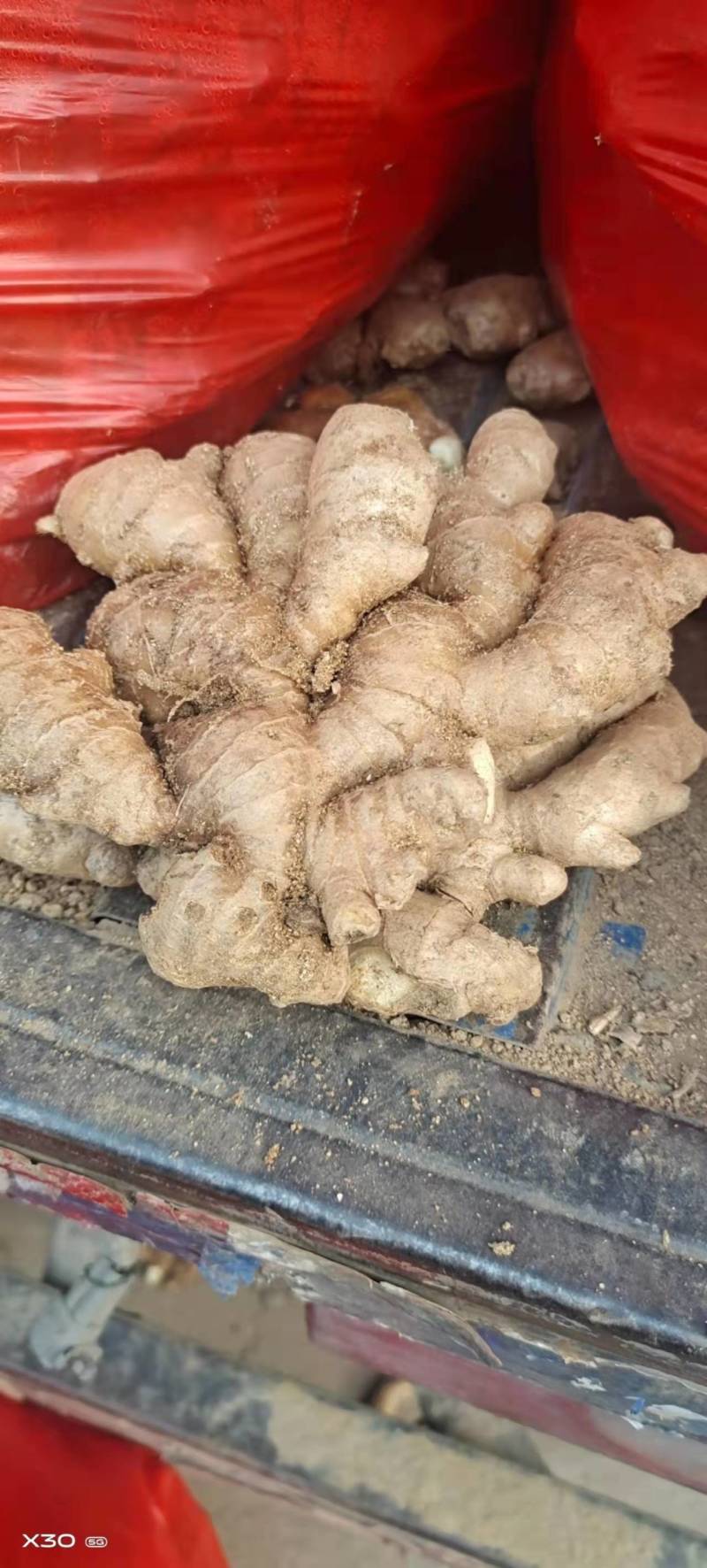 小黄姜，常年供应，货源充足，质量保证，随到随装