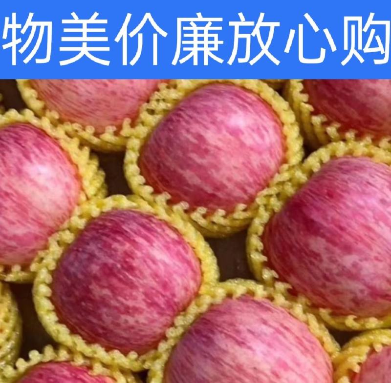 红富士苹果产地✔纸袋&膜袋&纸加膜✔规格齐全🔥诚信报价