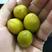全国热销网红出名的橄榄之乡出品“甜2号”已全面上市