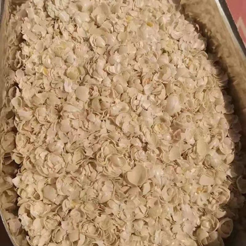 大豆皮非专基因