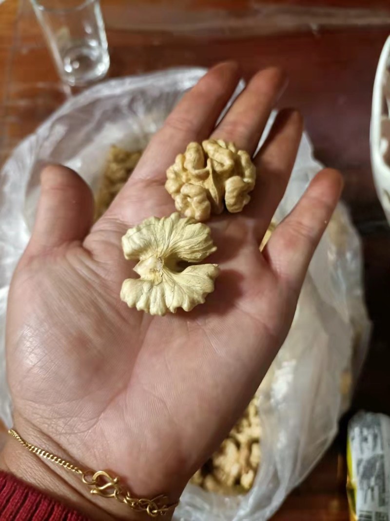 云南薄皮核桃苗，树体大寿命长产量高果大皮薄味香无苦不涩