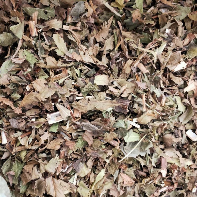 泽兰片子
