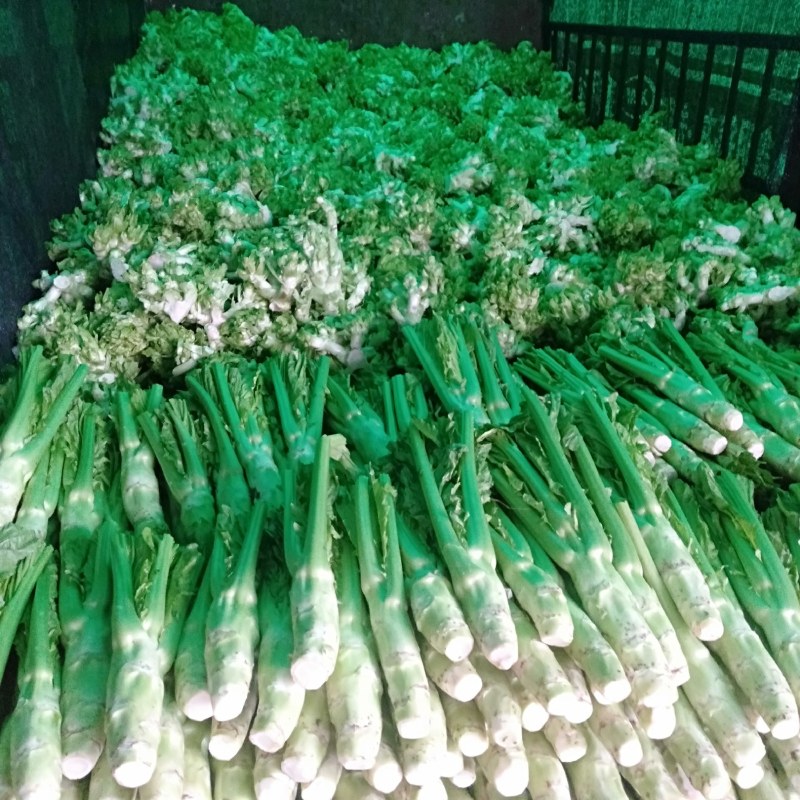 简阳市棒菜