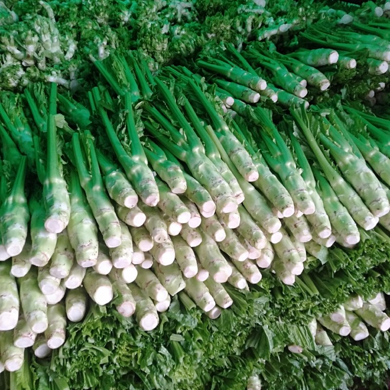 简阳市棒菜