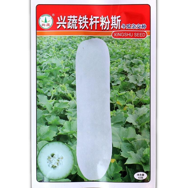 兴蔬粉地龙冬瓜种子，10克，单瓜重15-25公斤内腔较小