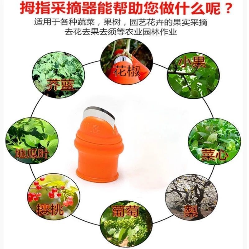 摘菜神器拇指刀多功能指甲套摘果护指甲掐菜剥蒜剥壳农用摘花
