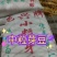 芽豆芽苗豆中粒黄豆东升一号黄芽豆
