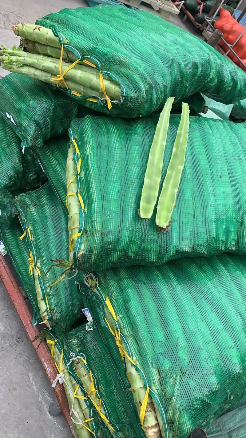 优质莴苣杆子莴苣大量上市中，不空心，无顶花！