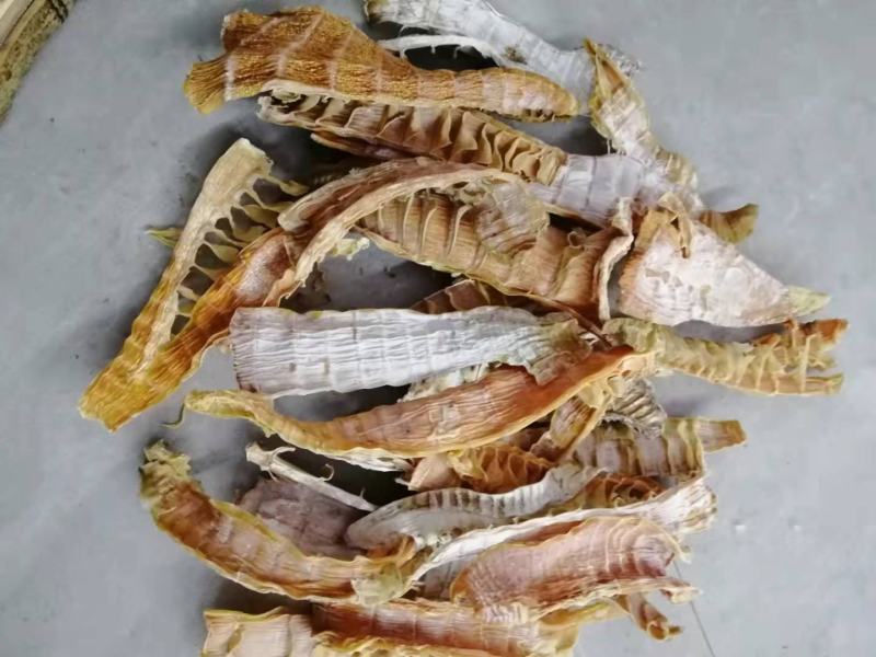 干竹笋