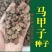 新采马甲子种子铁篱笆种子带刺篱笆种子铜钱树马鞍树鸟不站刺