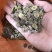 新采马甲子种子铁篱笆种子带刺篱笆种子铜钱树马鞍树鸟不站刺