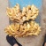 【推荐】优质窖藏小黄姜批发山东产地直销带土大姜新姜