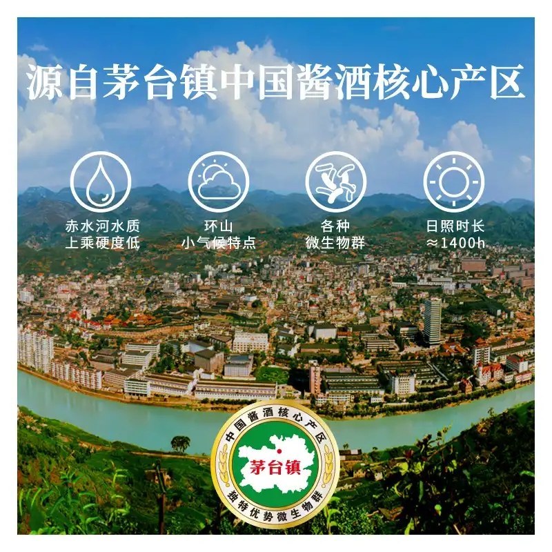国台国标酒酱香型白酒53度茅台镇高度酒水2016年酿造