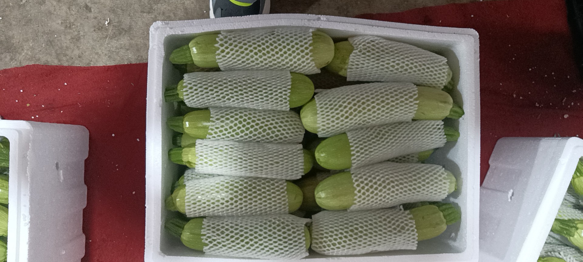 展示西葫芦冷藏包装的正确方式,包括保鲜膜包裹、泡沫箱、纸箱等组合包装 西葫芦冷藏包装示意图