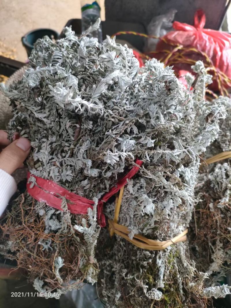 鹿茸草！干货！！鹿茸草！鹿茸草现货！！抓紧时间，需要联系
