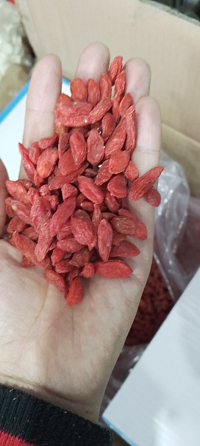新疆红枸杞，