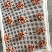 龙虾尾