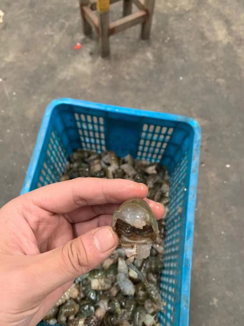 龙虾尾