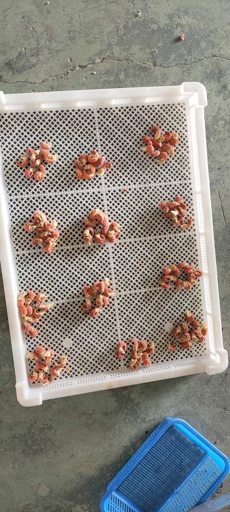 龙虾尾