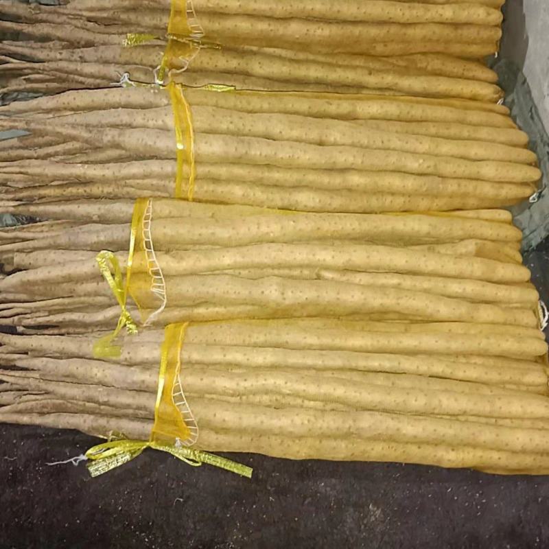 精品白山药，产地直销，稳定供应全国市场欢迎咨询联系