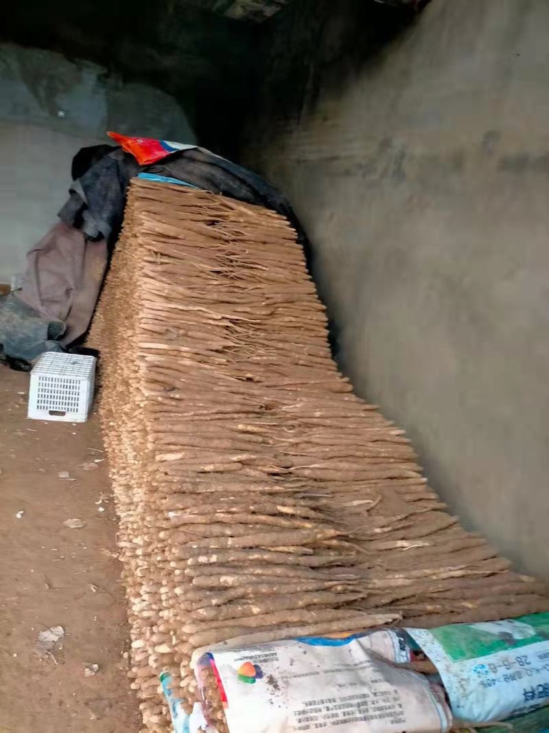 精品白山药，产地直销，稳定供应全国市场欢迎咨询联系