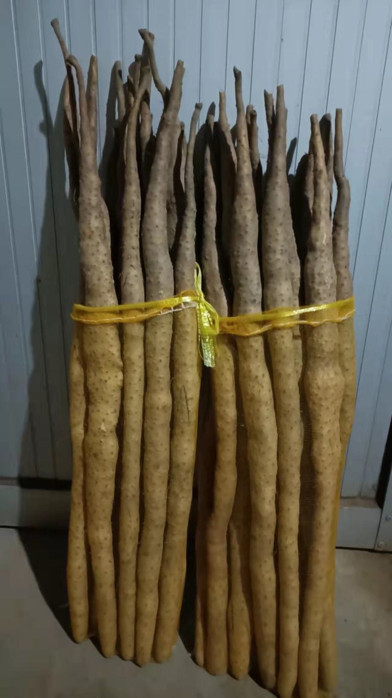 精品白山药，产地直销，稳定供应全国市场欢迎咨询联系