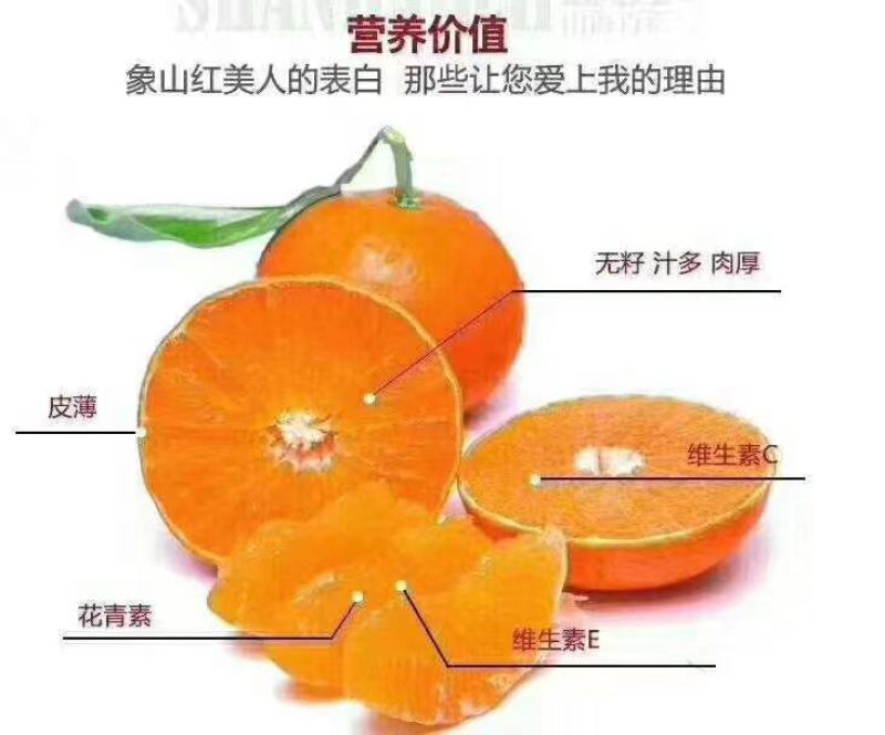 礼盒水果，宁波象山晓塘“红美人”橘中爱马仕