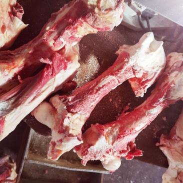 锡林浩特市大草原肉棒骨，牛副产品质量保证，放心够买