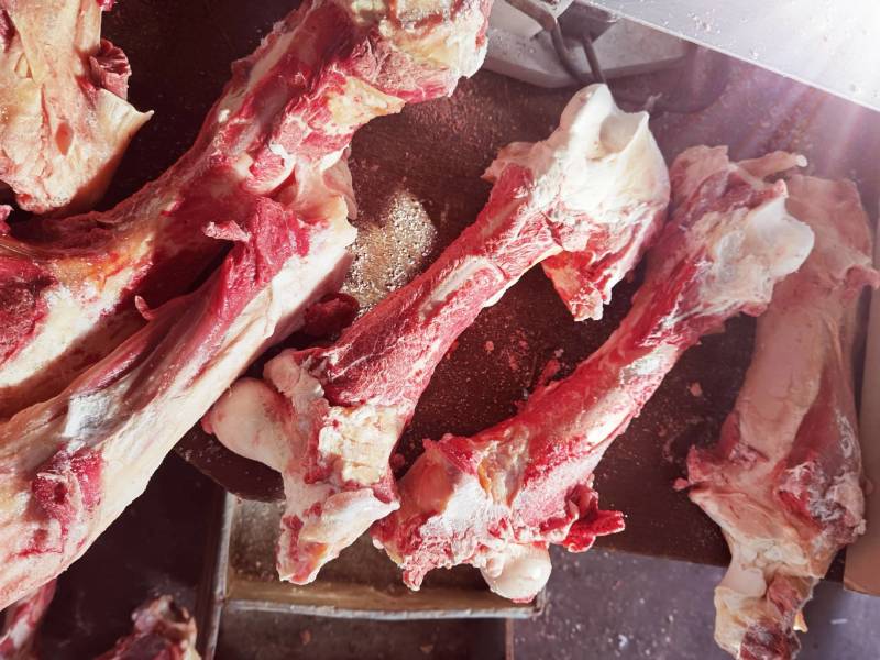 锡林浩特市大草原肉棒骨，牛副产品质量保证，放心够买